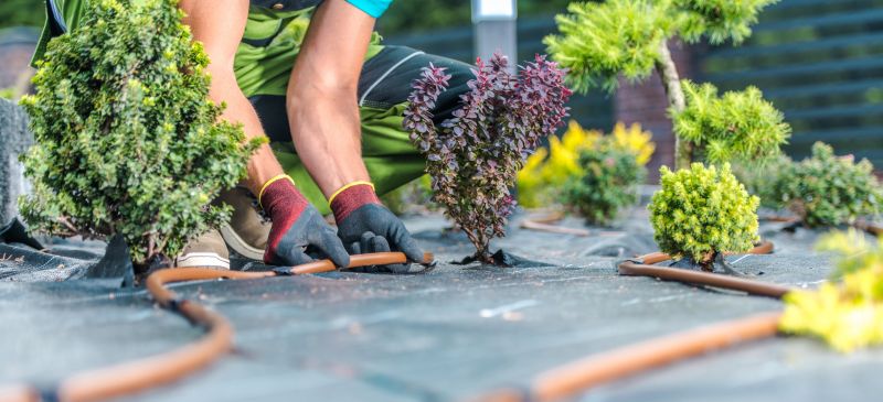 Dryscape Landscaping in Ventura County, CA