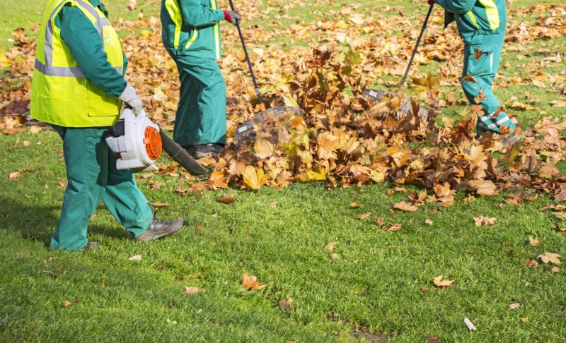 Professional Equipment for Leaf Removal