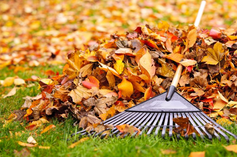 Autumn Lawn Maintenance Tools