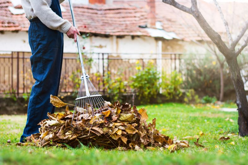 Lawn Raking and Debris Clearing