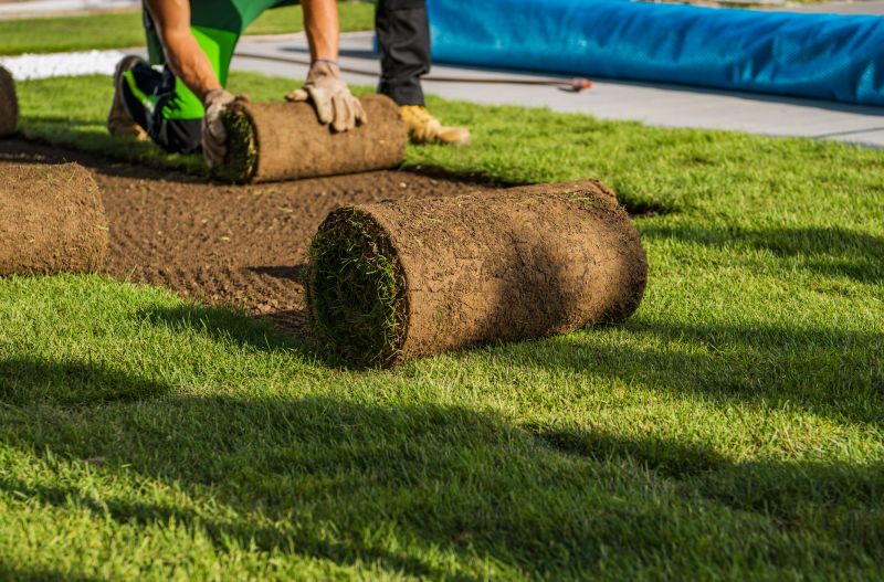 Professional Sod Disposal Crew